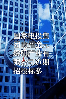 国家电投集团贵州金元绥阳产业有限公司