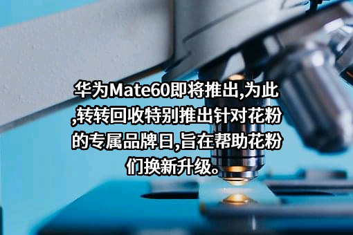 华为技术有限公司