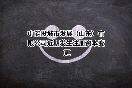 中能投城市发展（山东）有限公司