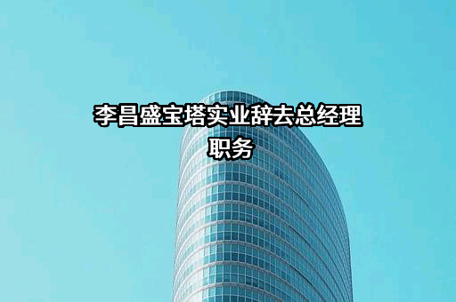 宝塔实业股份有限公司