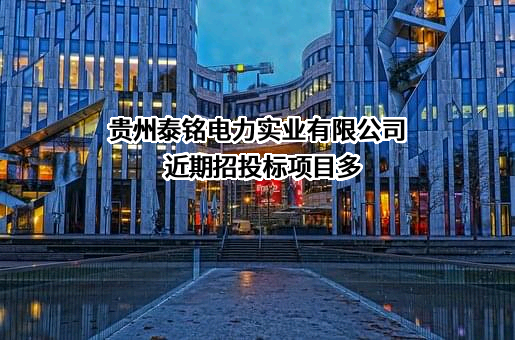 贵州泰铭电力实业有限公司