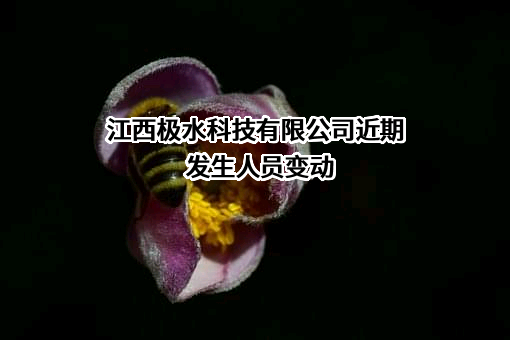 江西极水科技有限公司