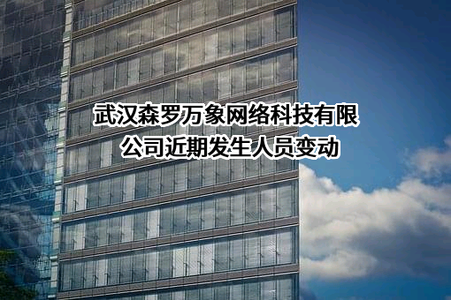 武汉森罗万象网络科技有限公司