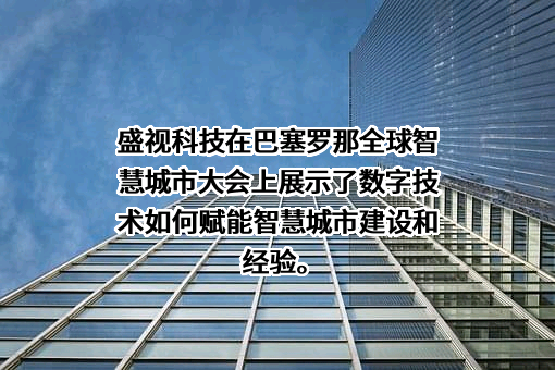 盛视科技股份有限公司