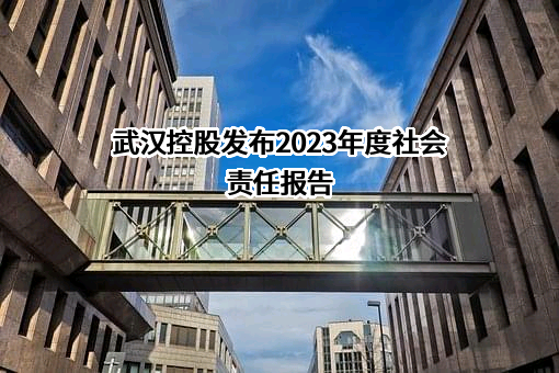 武汉三镇实业控股股份有限公司