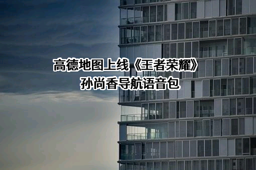 高德软件有限公司
