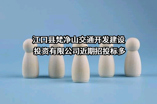 江口县梵净山交通开发建设投资有限公司