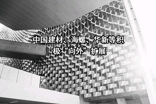 中国建材股份有限公司