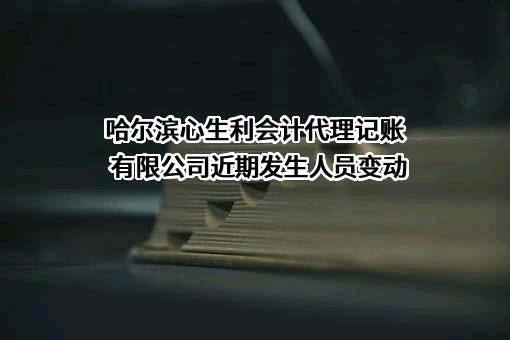 哈尔滨心生利会计代理记账有限公司