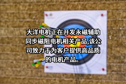 中山大洋电机股份有限公司