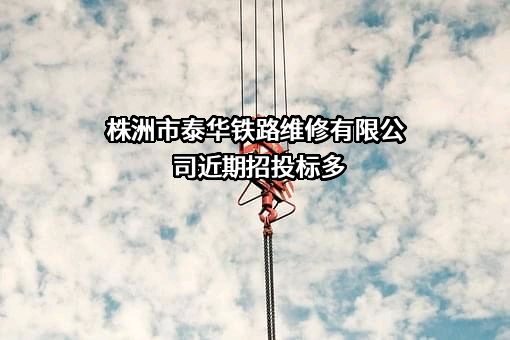 株洲市泰华铁路维修有限公司