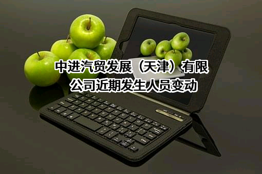 中进汽贸发展（天津）有限公司