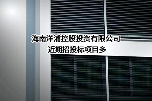 海南洋浦控股投资有限公司