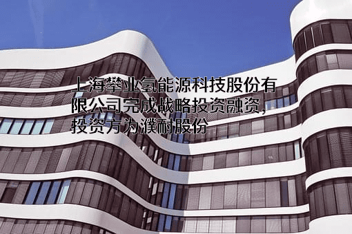 上海攀业氢能源科技股份有限公司
