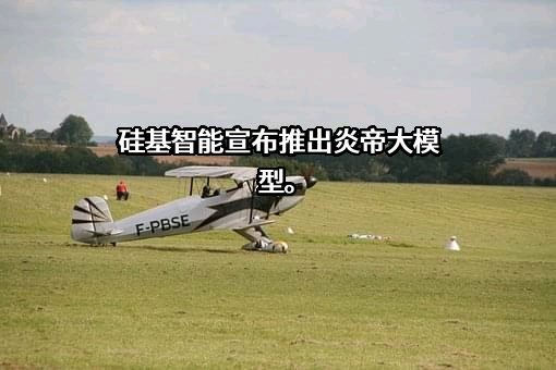 南京硅基智能科技有限公司