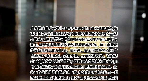 广东迪度新能源有限公司