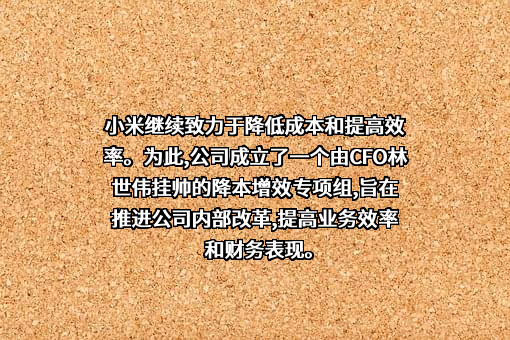 小米科技有限责任公司