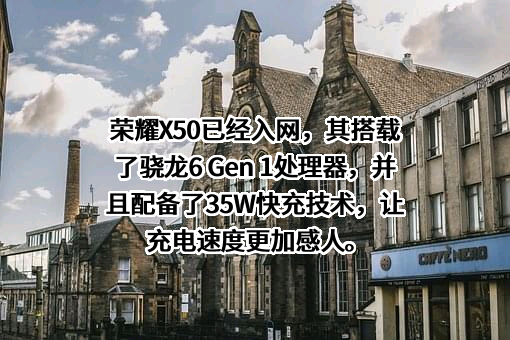 荣耀终端有限公司