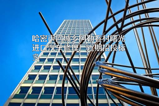 哈密市回城乡阿勒吞村曙光进口汽车修理厂近期招投标项目多