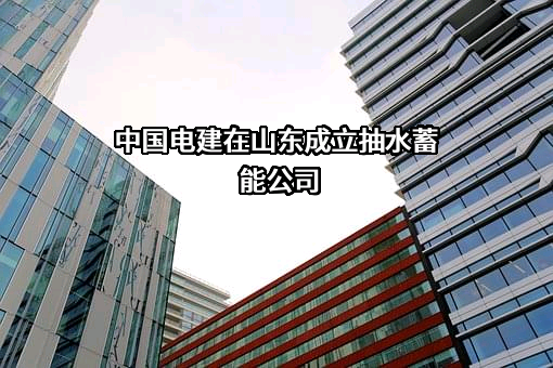中国电力建设股份有限公司