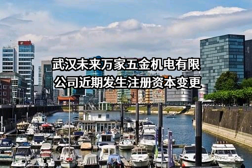 武汉未来万家五金机电有限公司