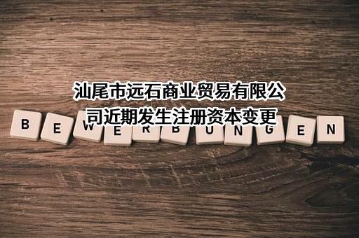 汕尾市远石商业贸易有限公司