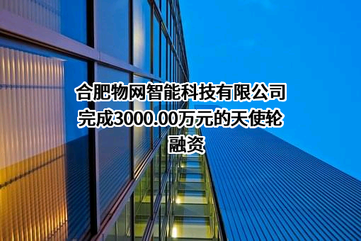 合肥物网智能科技有限公司完成3000.00万元的天使轮融资