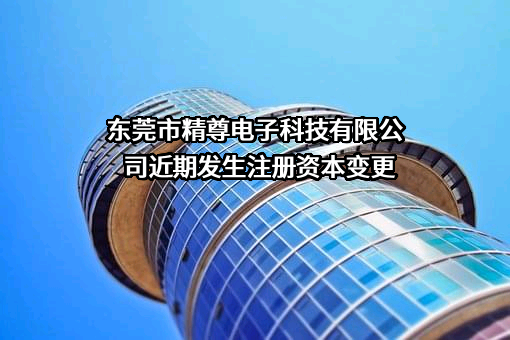 东莞市精尊电子科技有限公司