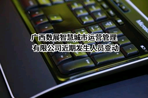 广西数展智慧城市运营管理有限公司