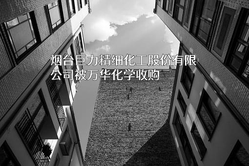 烟台巨力精细化工股份有限公司