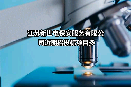 江苏新世电保安服务有限公司