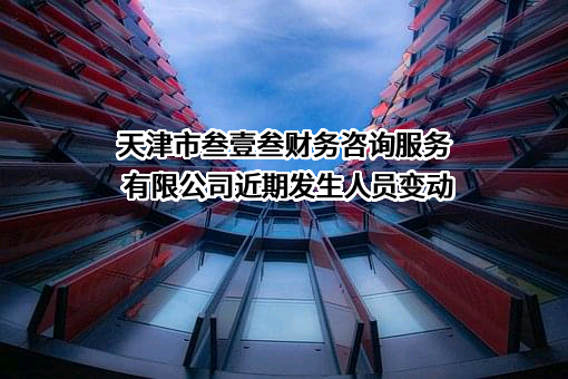 天津市叁壹叁财务咨询服务有限公司