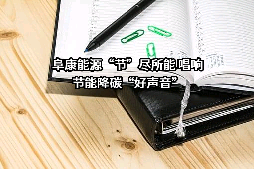 新疆中泰化学阜康能源有限公司