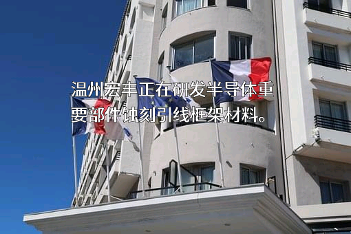 温州宏丰电工合金股份有限公司