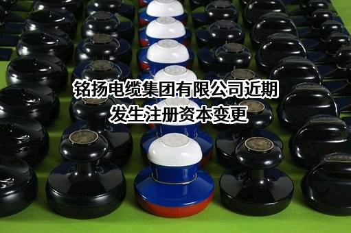 铭扬电缆集团有限公司