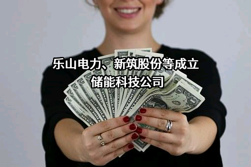 乐山电力股份有限公司