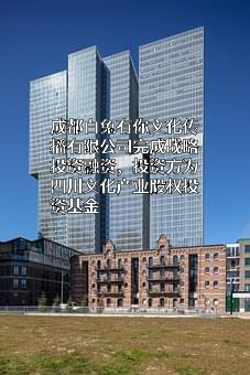 成都白兔有你文化传播有限公司