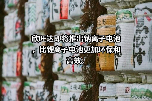 欣旺达电子股份有限公司