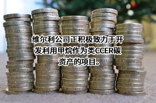 维尔利环保科技集团股份有限公司