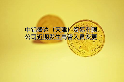 中铝盛达（天津）贸易有限公司