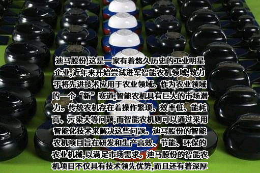 重庆市迪马实业股份有限公司
