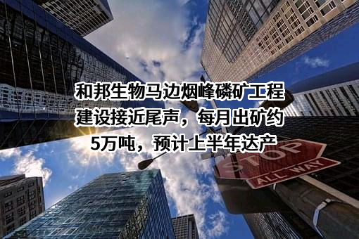 四川和邦生物科技股份有限公司