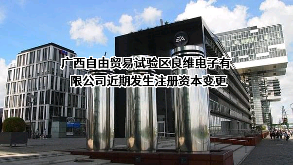 广西自由贸易试验区良维电子有限公司