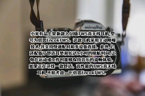 小米科技有限责任公司
