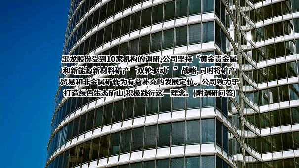 山东玉龙黄金股份有限公司