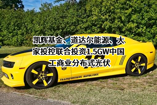 睿远基金管理有限公司
