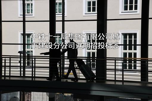 中铁十一局集团有限公司城市建设分公司
