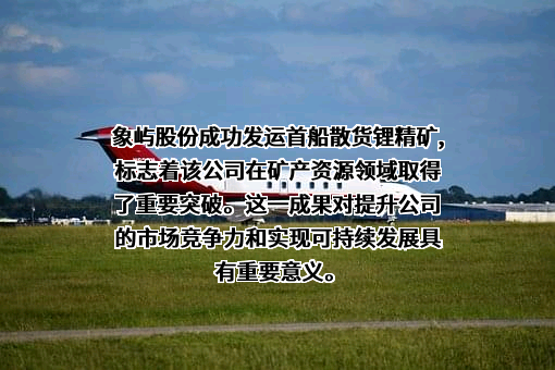 厦门象屿新能源有限责任公司