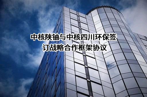 中核四川环保工程有限责任公司