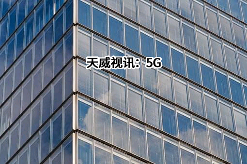 深圳市天威视讯股份有限公司